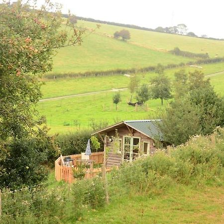 Woolcombe Cabin East Allington ภายนอก รูปภาพ
